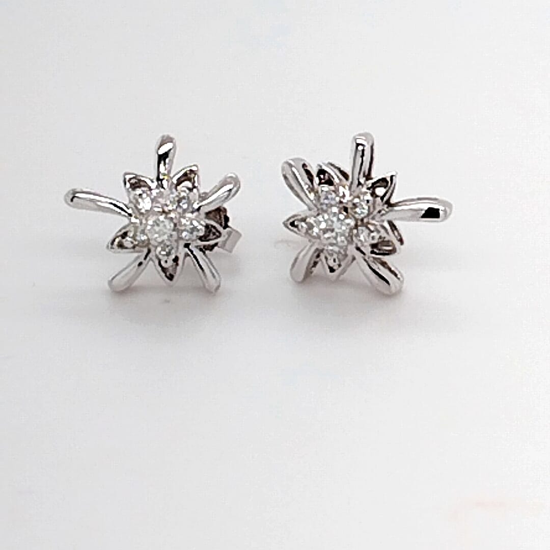 14KT Gold and and 0.28 Ctw F/VS Star Diamond Earrings